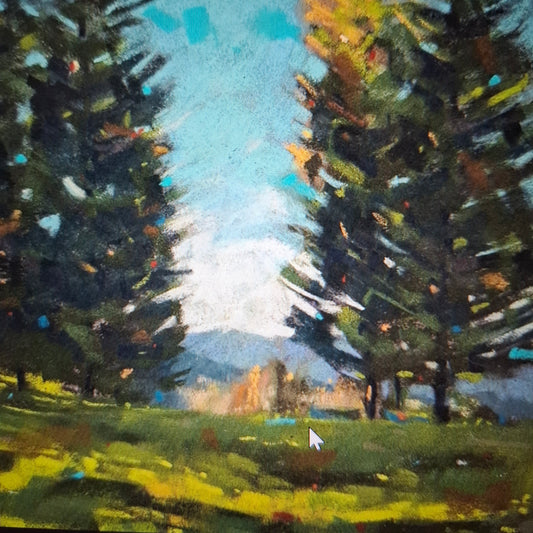 The Light at the Forest's Edge