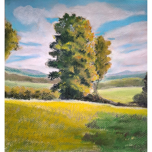 Golden hour Sentinel